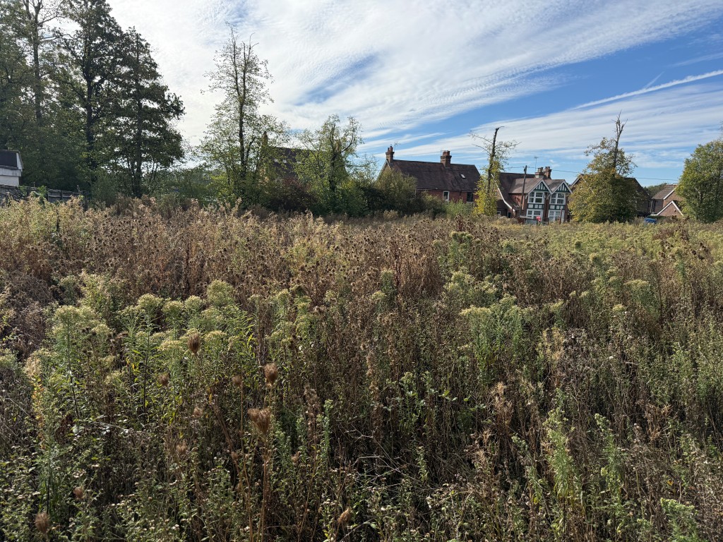 Lot: 26 - LAND IN FAVOURED LOCATION WITH OUTLINE PLANNING FOR SIX DWELLINGS - View of land from south boundary
